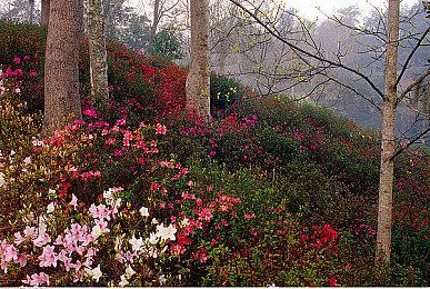 《原子之心》游戏玩法比《毁灭战士》《德军总部》更“疯狂”